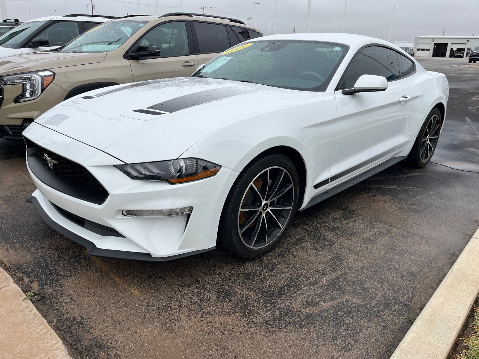 2021 Ford Mustang EcoBoost